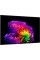 Телевізор LG OLED65G64LW