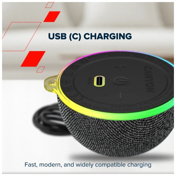 Акустична система Canyon OnMove 13 Black (CNE-CBTSP13B)