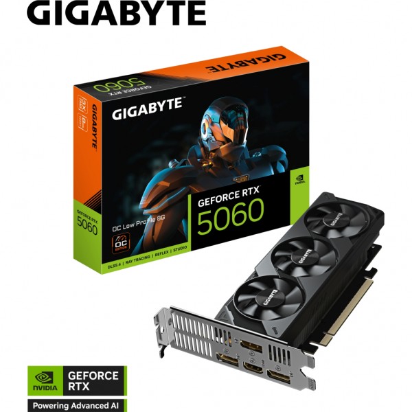 Відеокарта GIGABYTE GeForce RTX5060 8Gb OC Low Profile (GV-N5060OC-8GL)