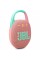 Акустична система JBL Clip 5 Pink (JBLCLIP5PINK)