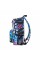 Рюкзак для ноутбука Bagland 14" Stylish M 17L+print, multicolored 1342/00549694 (1118320658)