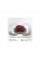 Навушники HiFuture FlyBuds4 Latte (flybuds4.latte)
