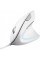 Мишка Trust Verto Ergonomic USB White (25133)