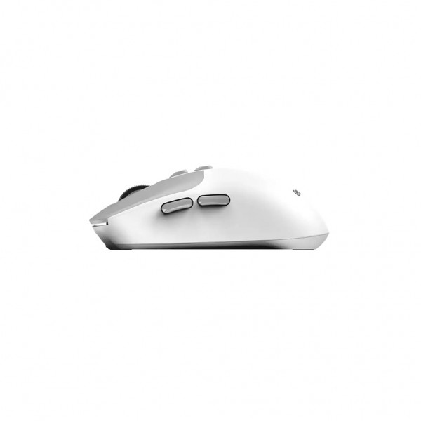 Мишка Genius NX-8080S Wireless/Bluetooth White/Grey (31030042401)