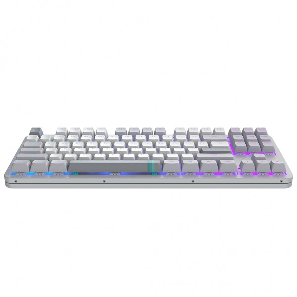 Клавіатура Dark Project ALU87 Daylight ABS RGB Mech G3MS Zircon White/Grey (DPKB_DAYLIGHT_87_ANSI_UA)