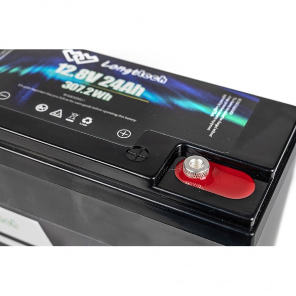 Батарея LiFePo4 Longttech 12.8V - 24Ah (LAR1224-LT20-R32)