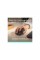 Мишка Logitech Signature Comfort Plus M850L Wireless/USB-C Graphite (910-007715)