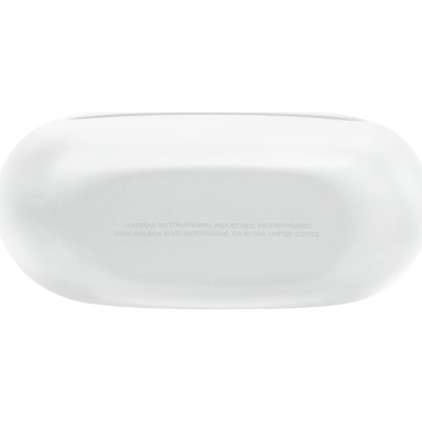 Навушники JBL Endurance Race 2 White (JBLENDURACE2WHT)