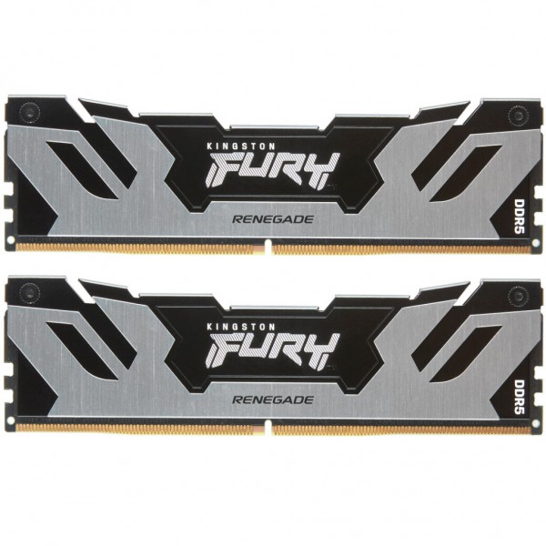 Модуль пам'яті для комп'ютера DDR5 96GB (2x48GB) 6000 MHz Renegade Silver XMP Kingston Fury (ex.HyperX) (KF560C32RSK2-96)