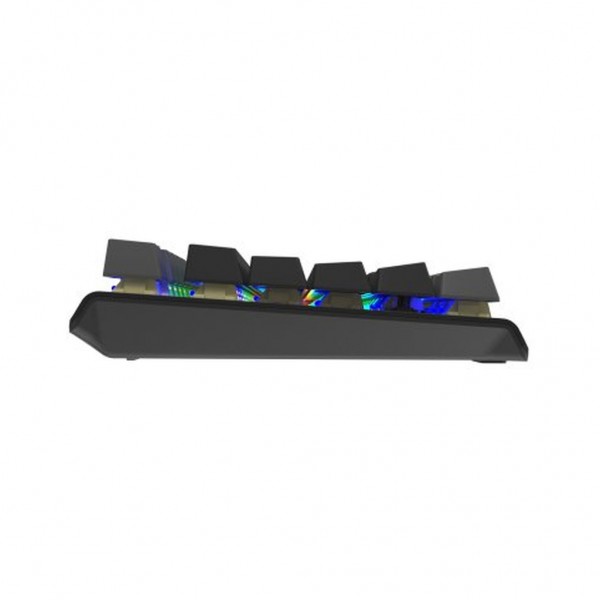 Клавіатура A4Tech FS100 RGB FS Switch USB Stone Black (4711421000567)