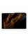 Планшет Samsung Galaxy Tab S8 Ultra 12/256GB 5G Dark Grey (SM-X906BZAESEK)