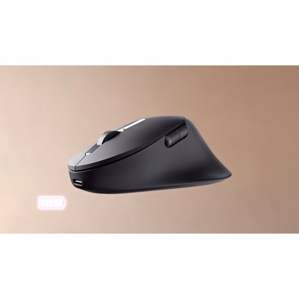 Мишка Dell Premier MS900 Wireless/Bluetooth Graffit (570-BBCB)